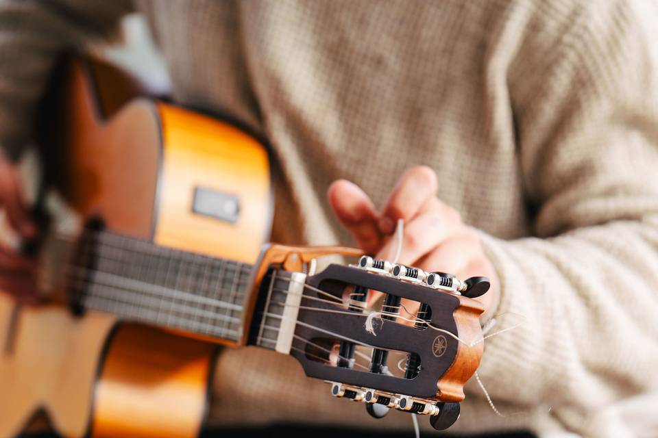 Guitar