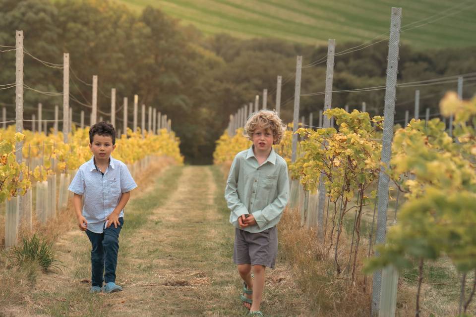 Kids in vines
