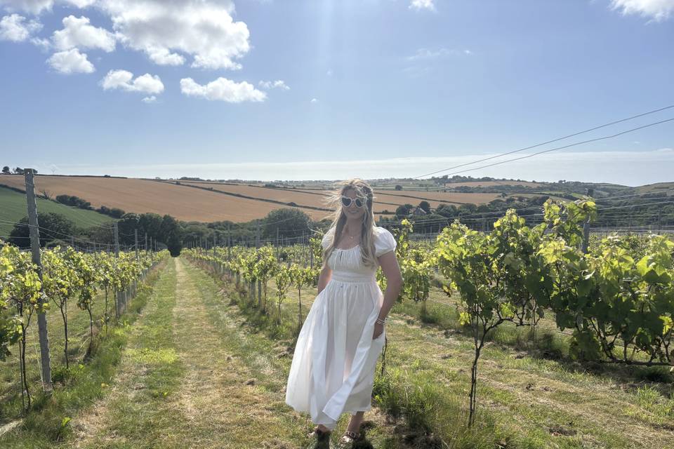 Amongst the vines