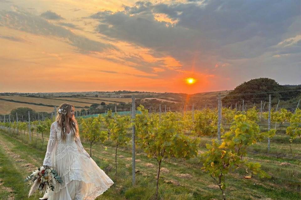 Bride in sunset