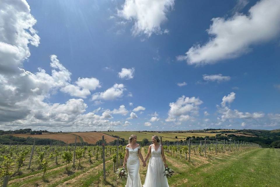 Brides in vines