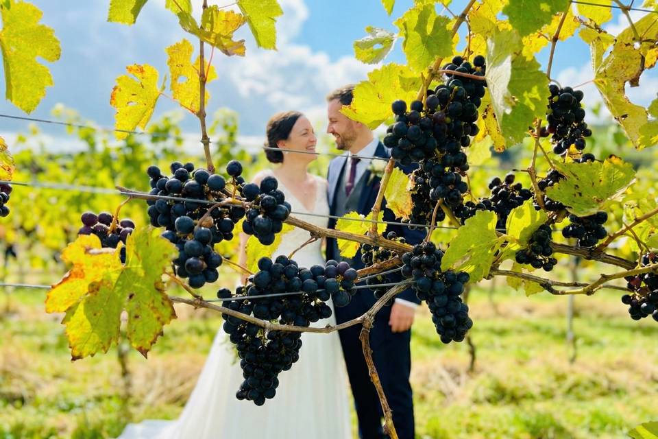 Couple behind grapes
