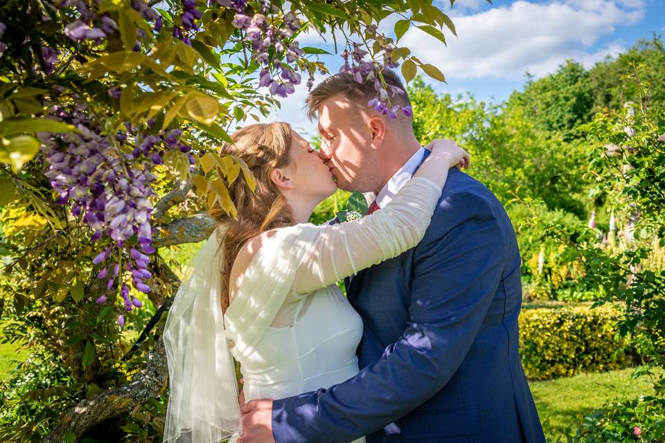 Wisteria embrace