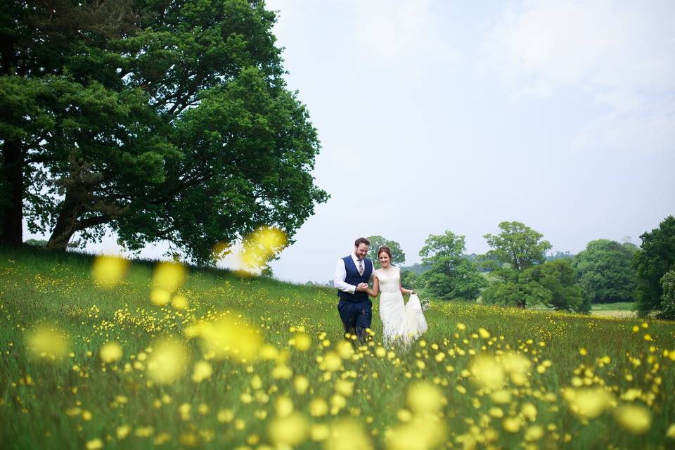 Through the buttercups