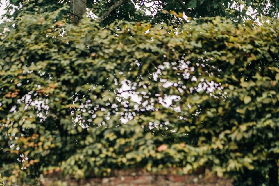 Floral dreams