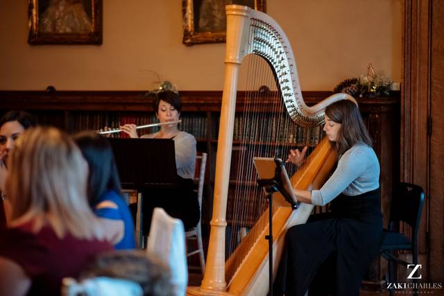 Michelle Krawiec - Topaz Flute & Harp Duo