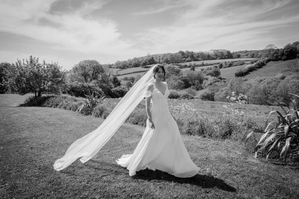 Veil  throw