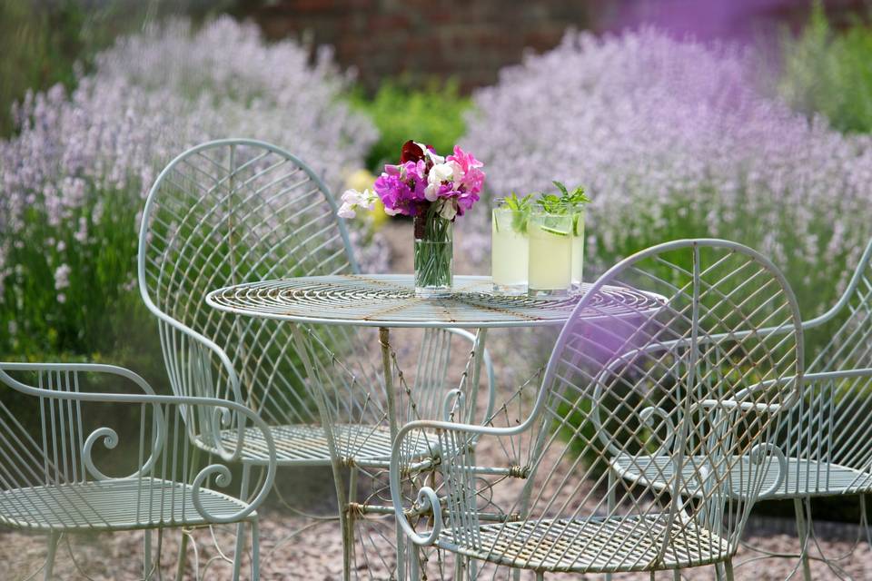 Sitting amongst the lavender