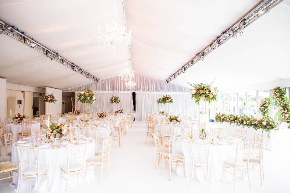 Elegant reception Braxted Pa