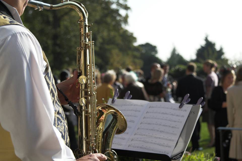 Saxophonist on the lawn