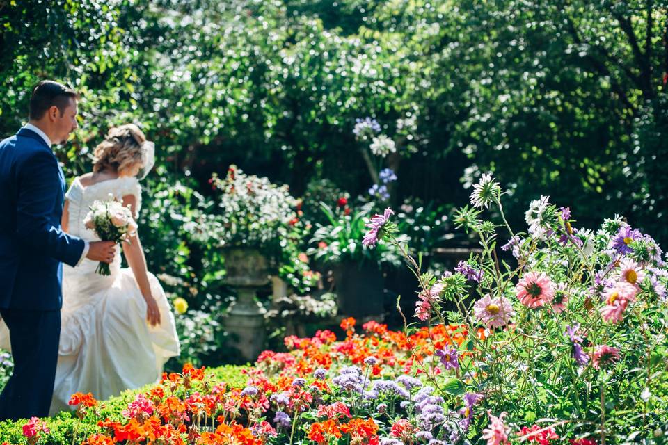 Beautiful summer gardens