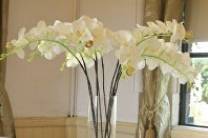 Tall orchid centrepiece