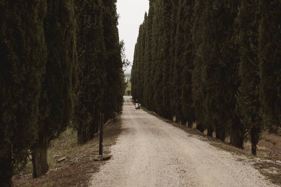 Arrival of the bride