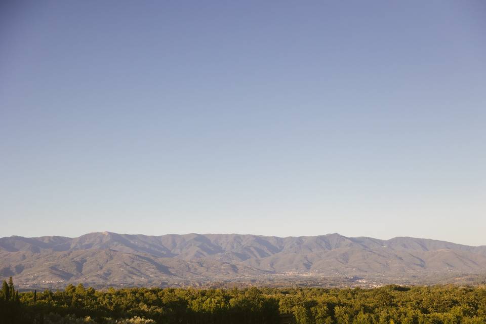 Panoramic view
