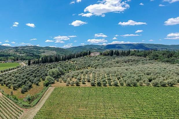 Chianti region