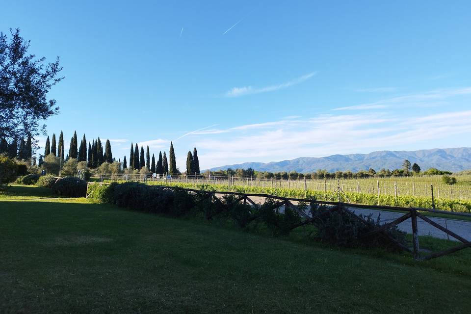 Agriturismo