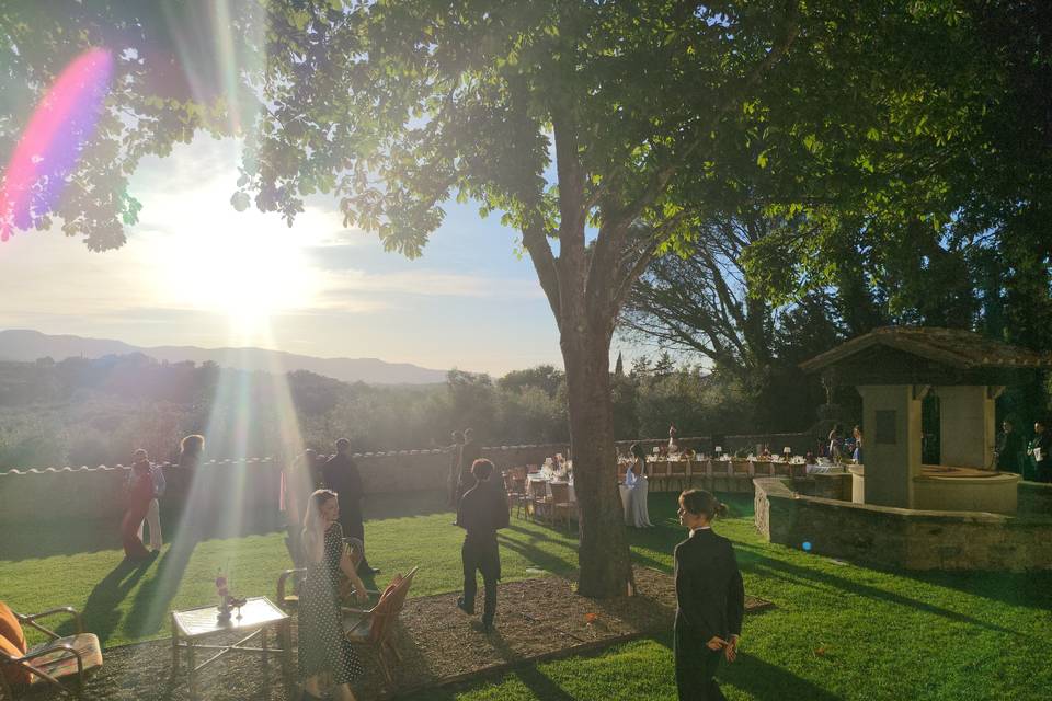 Wedding