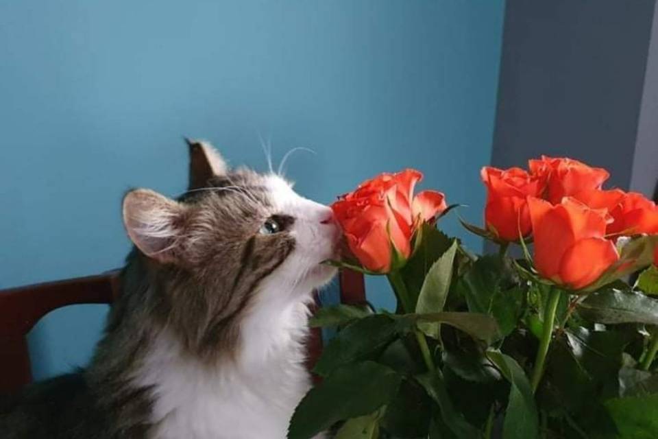 Bob loves flowers!