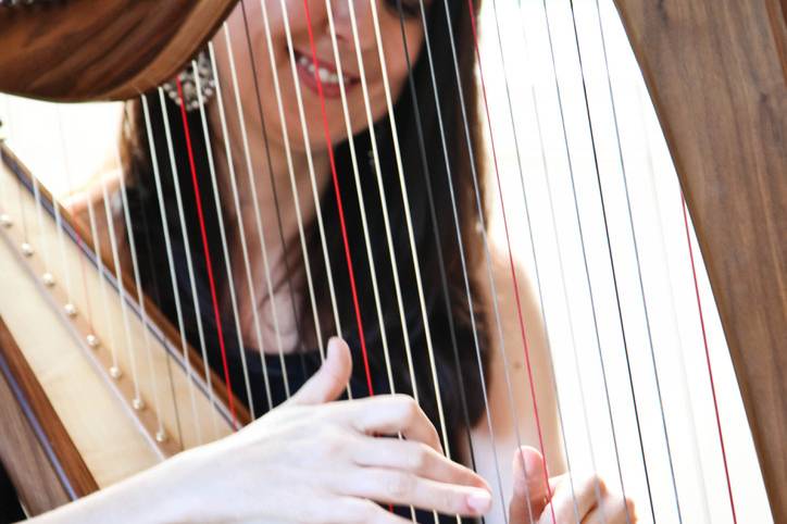Sharon Carroll - Harpist