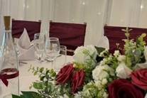 Rose red colour scheme