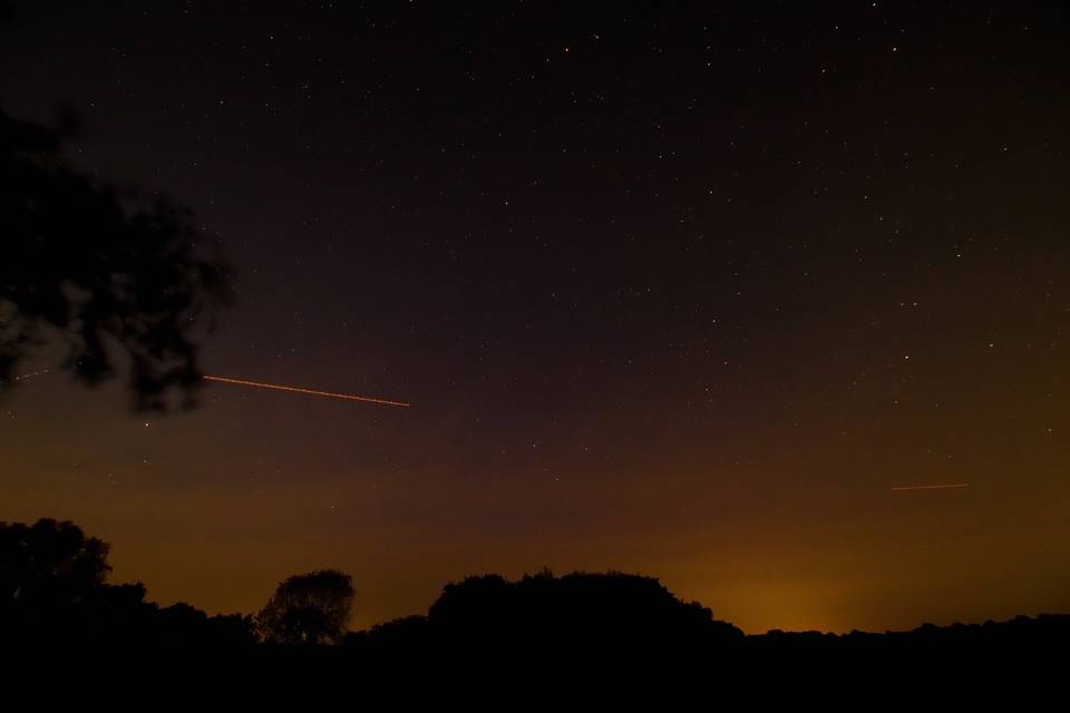 Shooting Star in Nightscape