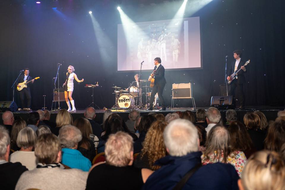 The Zoots at the Spotlight