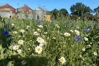 The Stable Yard & Silos Wedding Accomodation