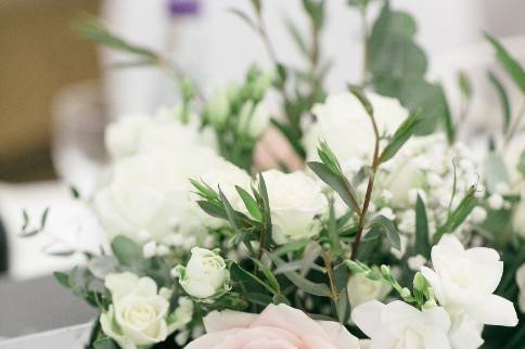 Pink and white flowers