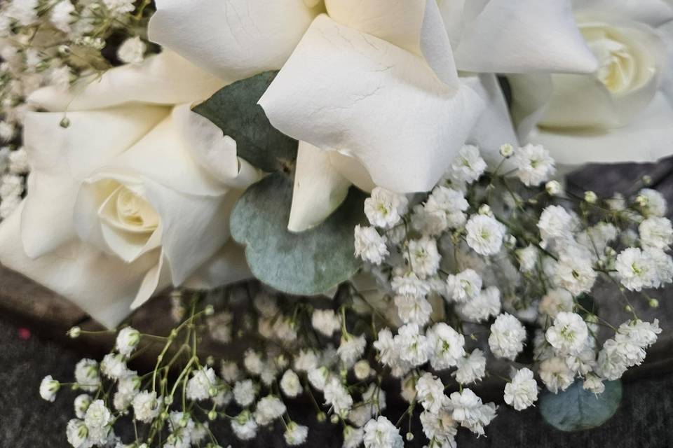 White roses and gyp