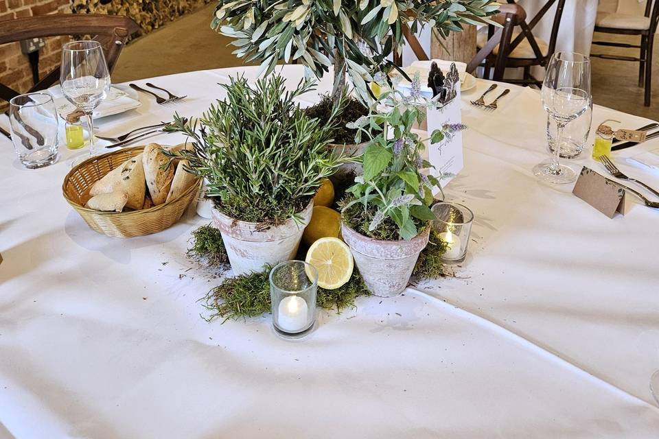 Olive tree wedding