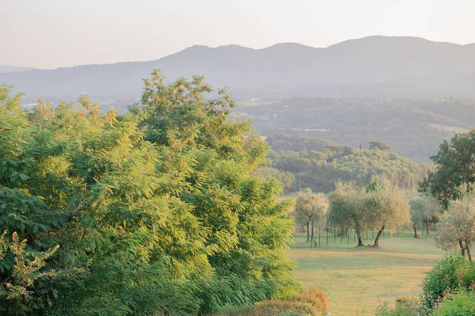 Tenuta di rota