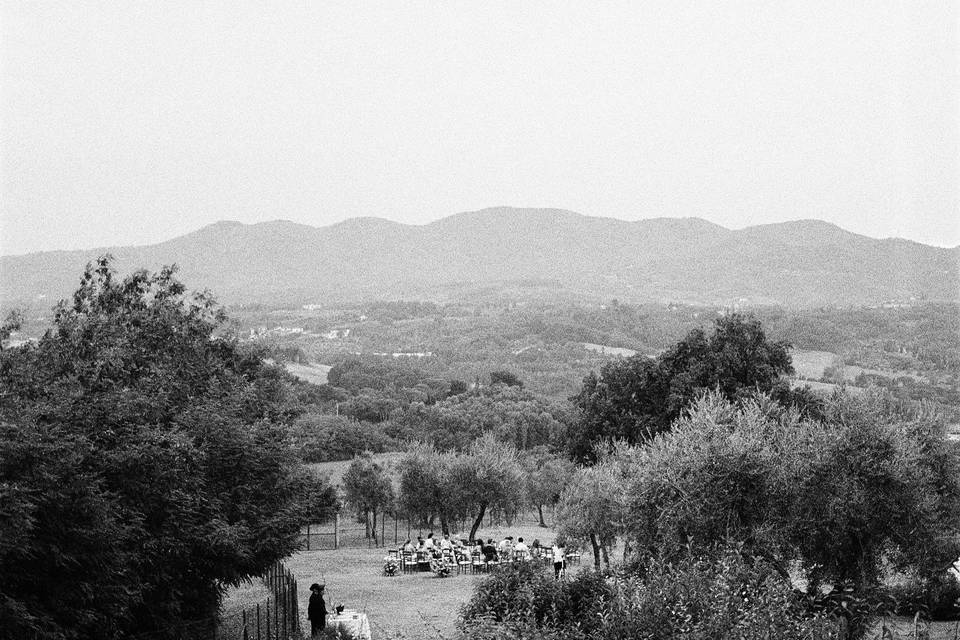 Tenuta di Rota