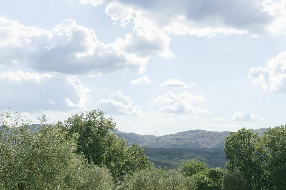 Tenuta di Rota