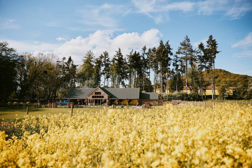 Brinsop Manor House & Knot - views