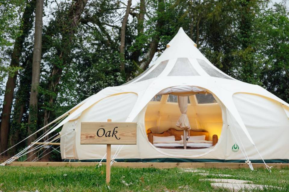 Glamping Oak