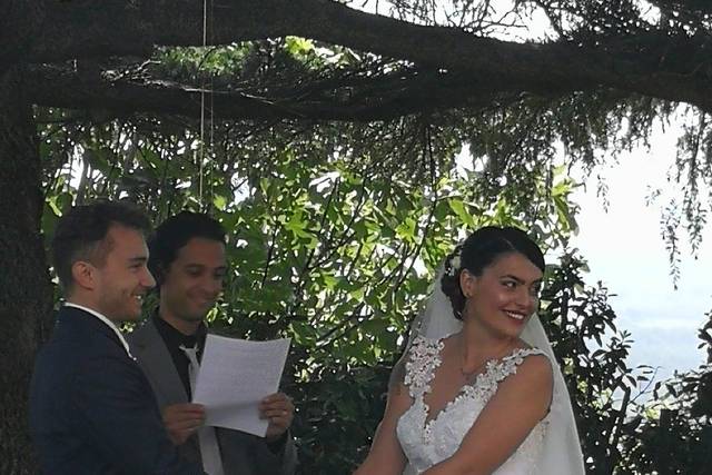 Wedding under the tree