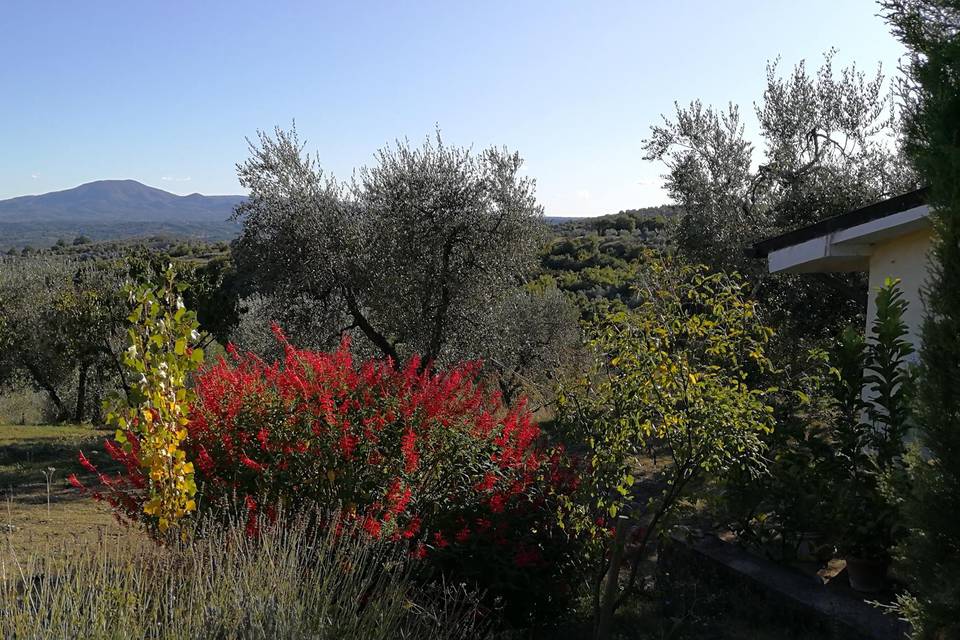 One of the apartments