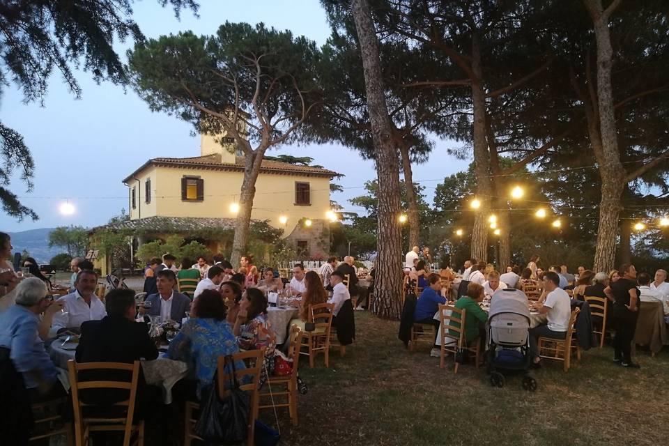 Dinner under the trees