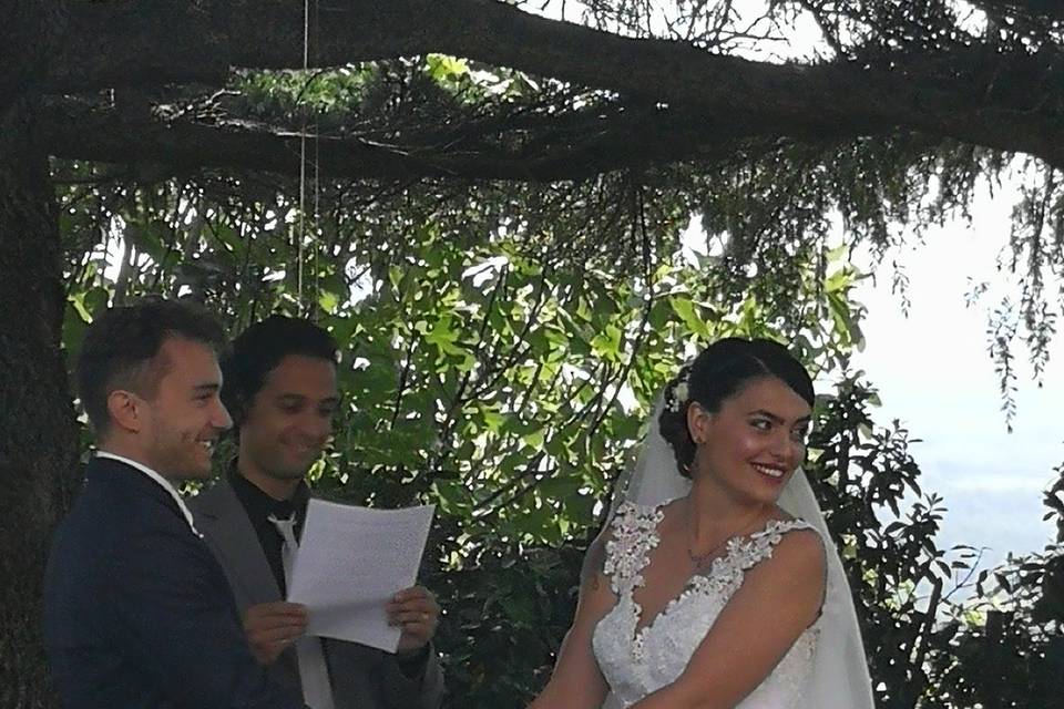 Wedding under the tree