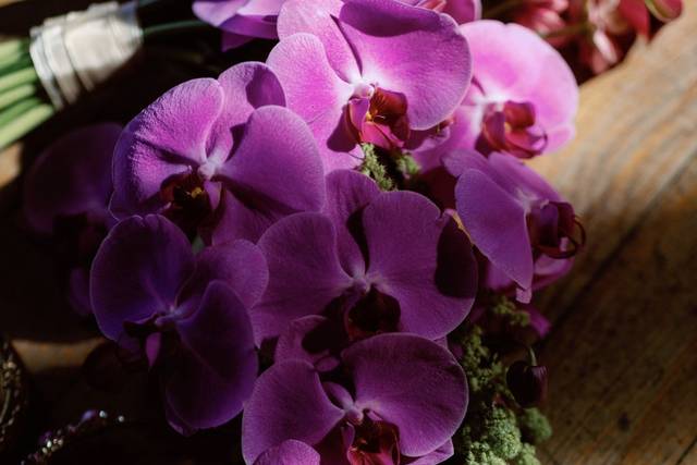 Orchid bouquet