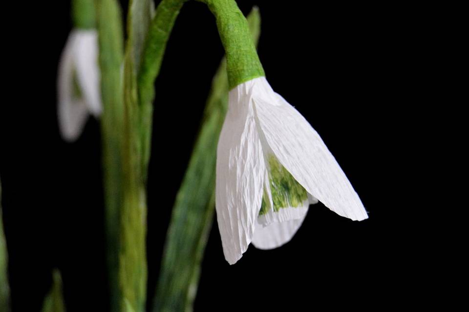 Pot of paper snowdrops