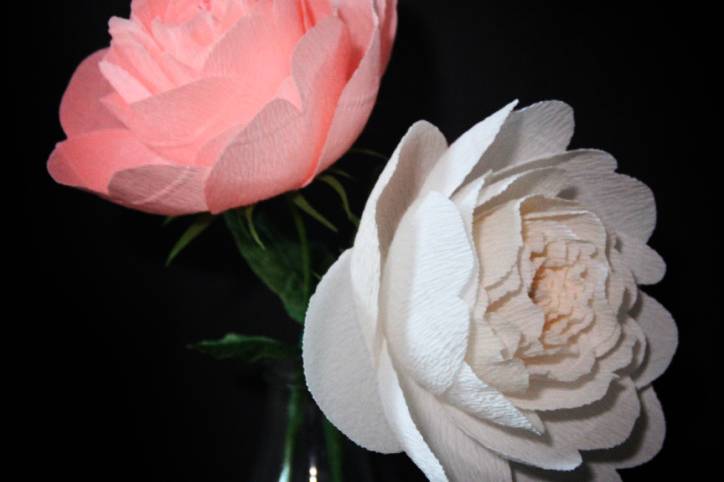 Pink and white paper peonies.