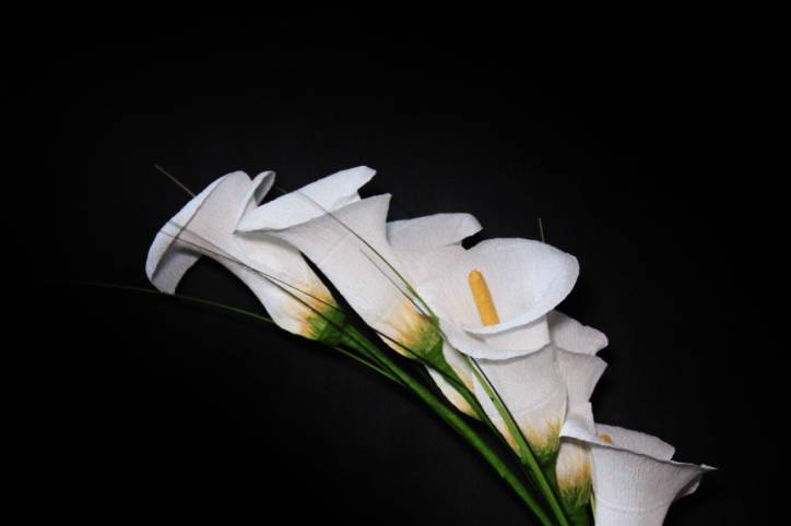 Paper calla lily arm sheaf.