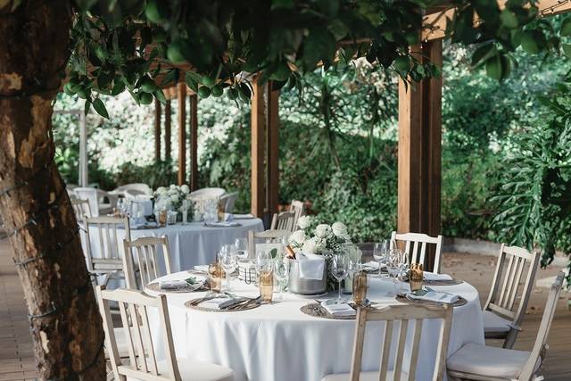 Wedding Dinner