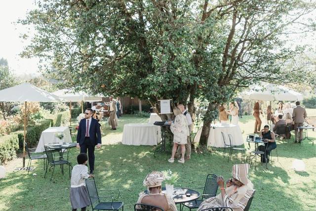 Wedding Reception