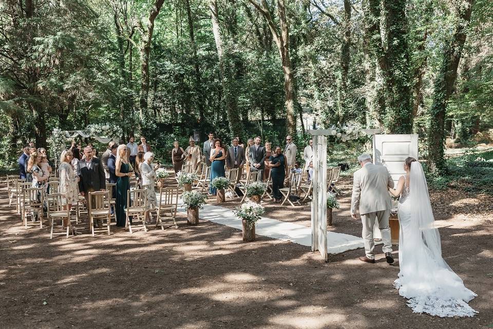 Wedding Ceremony