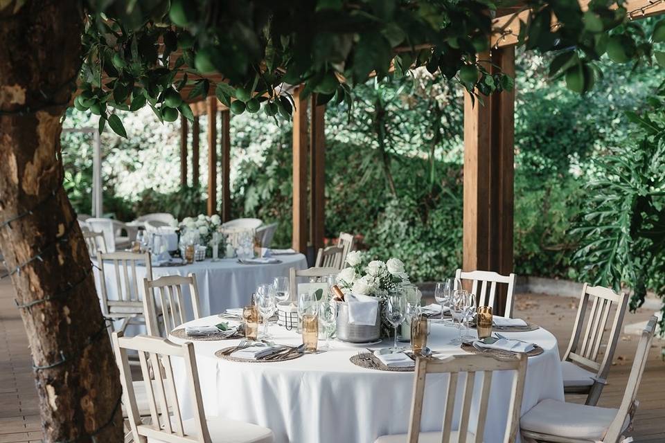 Wedding Dinner