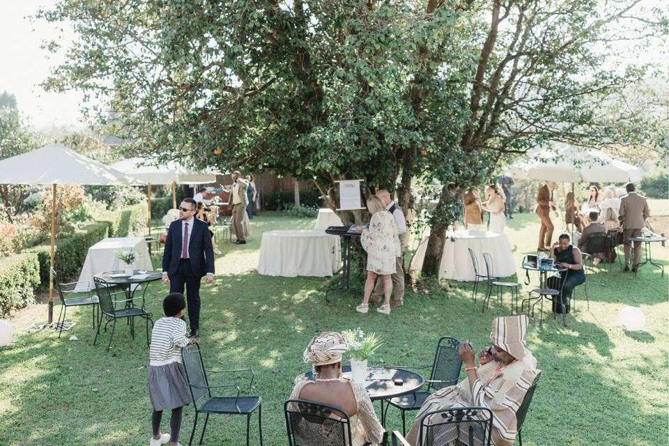 Wedding Reception