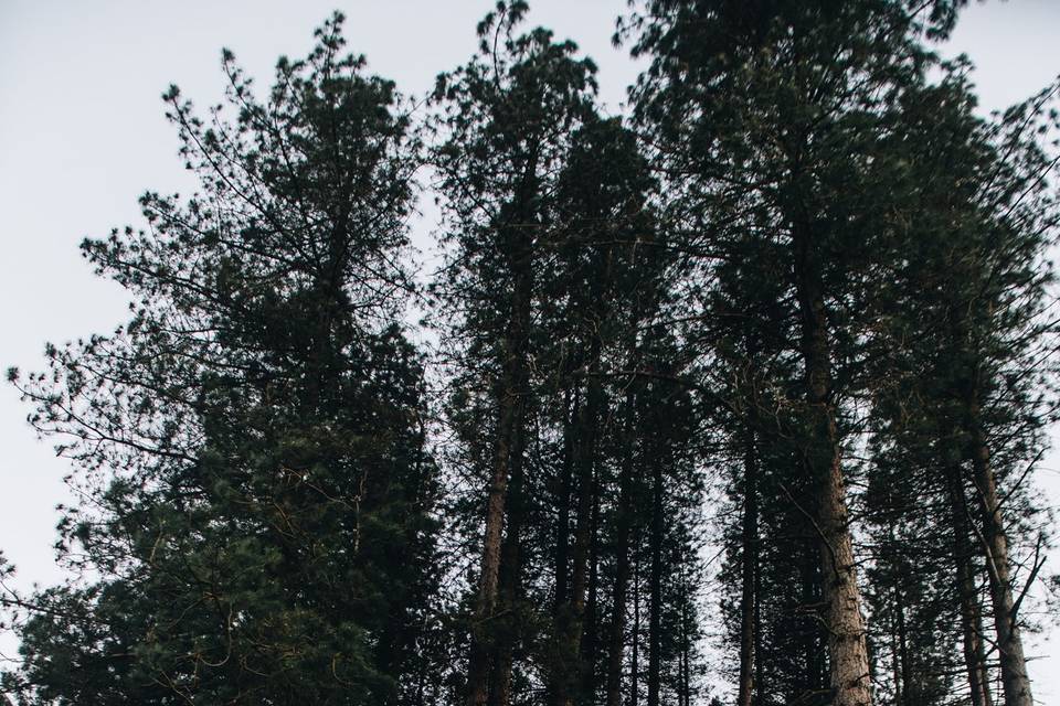 B + K Engagement Shoot