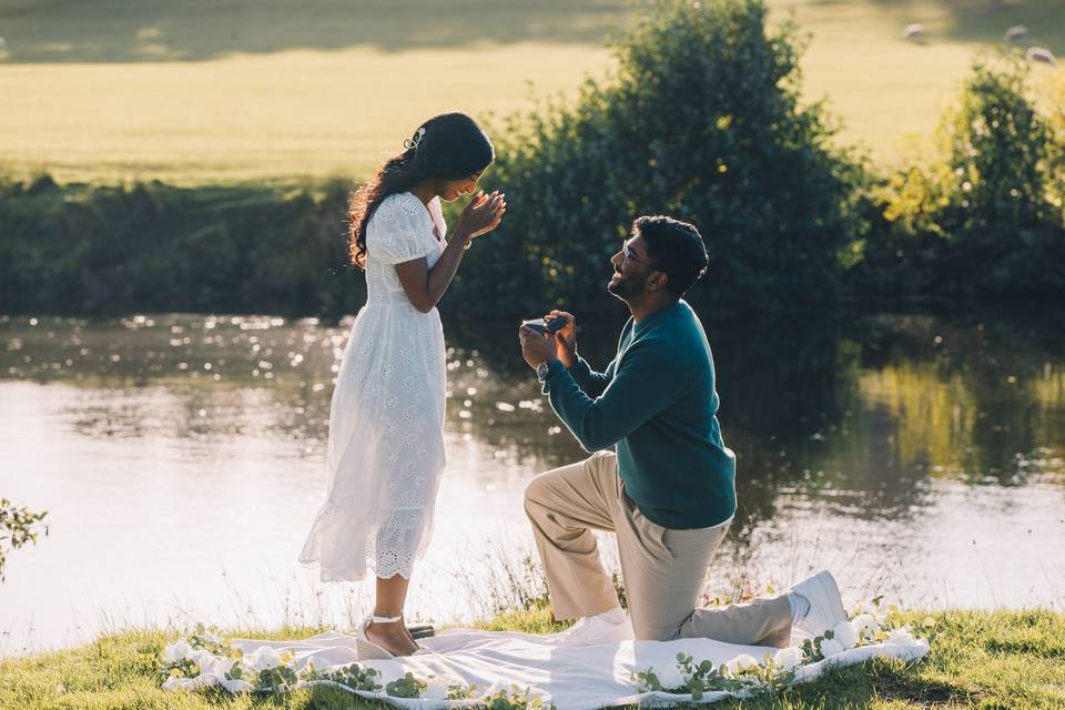 S+J Surprise proposal